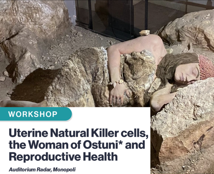 NK2026 – Workshop, September 21st