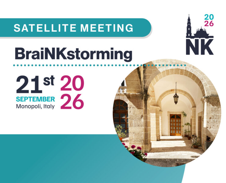 NK2026 – Satellite Meeting – BraiNKstorming